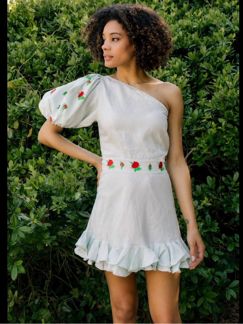 Anthropologie Fanm Mon Flame Embroidered One Sleeve Ruffle Puff Sleeve Dress M